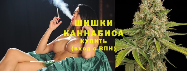 ПСИЛОЦИБИНОВЫЕ ГРИБЫ Арсеньев