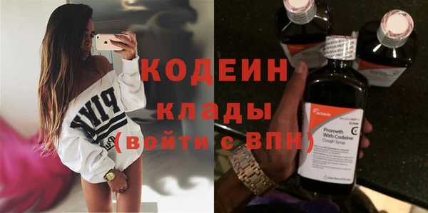 ПСИЛОЦИБИНОВЫЕ ГРИБЫ Арсеньев