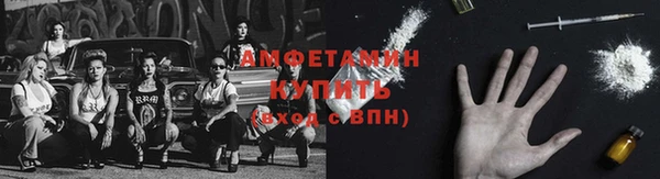 ПСИЛОЦИБИНОВЫЕ ГРИБЫ Арсеньев