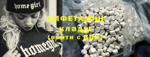 ПСИЛОЦИБИНОВЫЕ ГРИБЫ Арсеньев