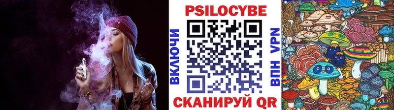 Псилоцибиновые грибы Psilocybe  Рославль 