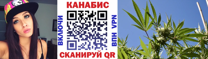 Конопля индика  Рославль 